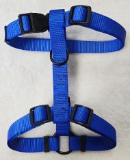 X-Large Blue Harness